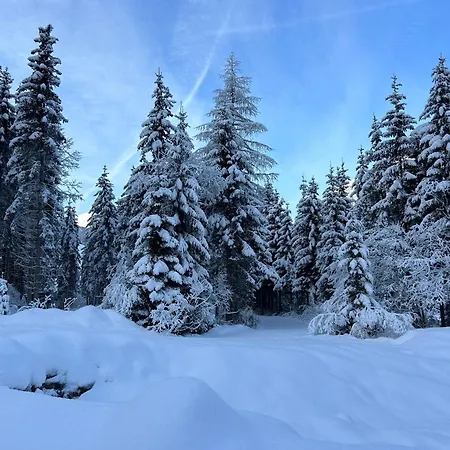 Haus Waldblick Apartament *