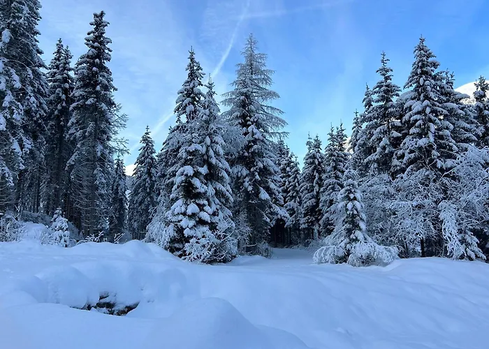 Haus Waldblick Daire *