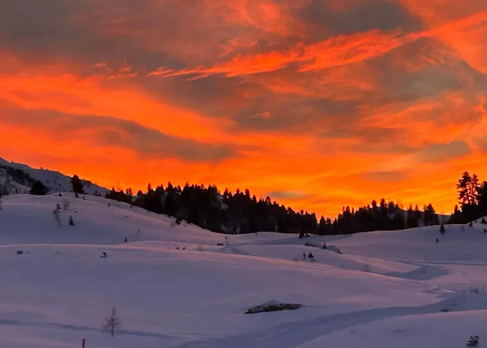 Haus Waldblick Daire